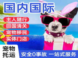 芜湖宣州机场托运国际宠物托运 【国